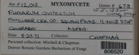 Image Associated With the Occurence